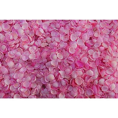 ΑΧΙΒΑΔΑΚΙ ΜΙΝΙ ΡΟΖ 0,5-1 ΕΚ. 1 ΚΙΛΟ