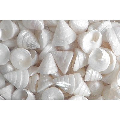 ΚΟΧΥΛΙΑ ΦΥΣΙΚΑ TROCUS ΠΕΡΛΕ 1-2 ΕΚ.1 ΚΙΛΟ