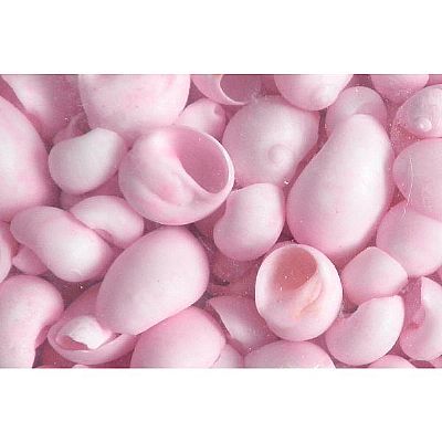 ΚΟΧΥΛΙΑ  MOONSHELL ΡΟΖ 1-3 ΕΚ.1 ΚΙΛΟ