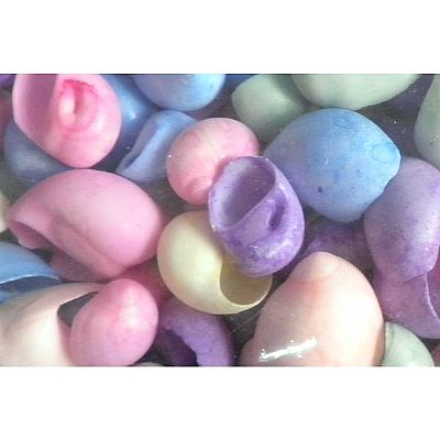 ΚΟΧΥΛΙΑ  MOONSHELL ΜΙΞ.ΧΡΩΜΑΤΩΝ 1-3 ΕΚ.1 ΚΙΛΟ