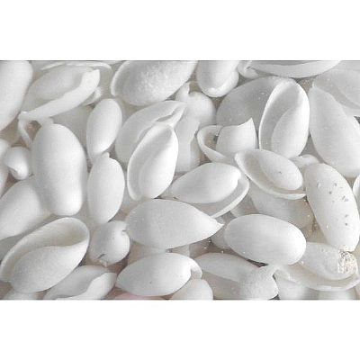 ΚΟΧΥΛΙΑ ΦΥΣΙΚΑ HYDATINA PHYSIS ΛΕΥΚΟ 1,5Χ2,5 ΕΚ. 1 ΚΙΛΟ