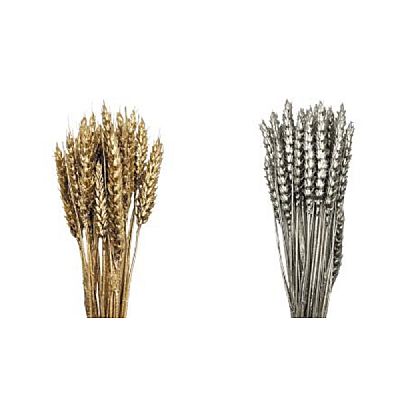 ΣΤΑΧΥ-ΧΡΥΣΟ-ΑΣΗΜΙ-50 ΕΚ.