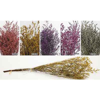 LOVER GRASS 80cm 0516175 