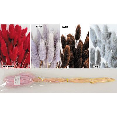 LAGURUS (ΓΑΤΑΚΙ) 60cm 0516176